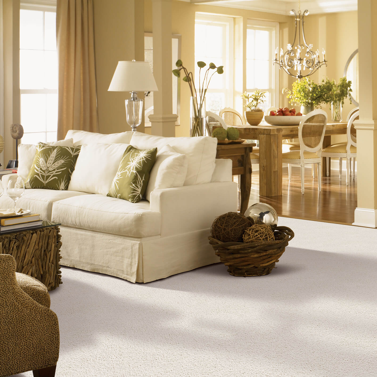 Carpeting in Living Room | Rockwall Floor and Paint