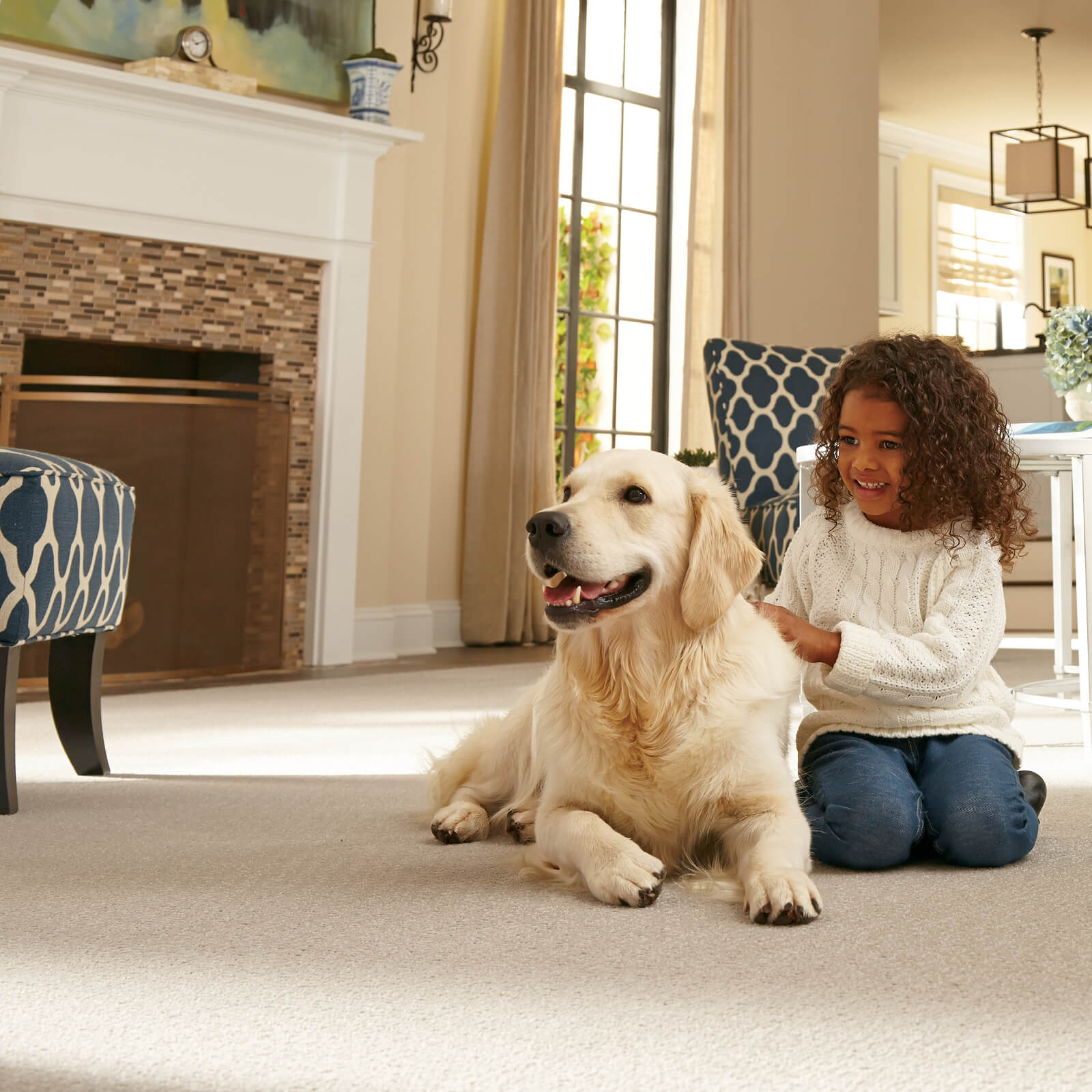 Dog on Carpeting | Rockwall Floor and Paint