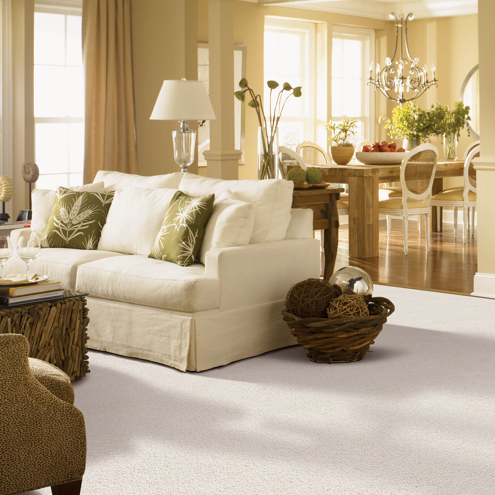 Carpeting in Living Room | Rockwall Floor and Paint