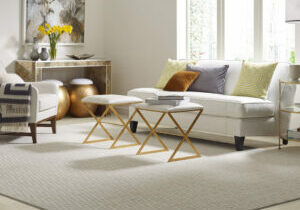 choosing-the-perfect-area-rug